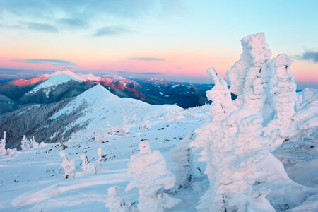 mountain range in the Carpathian Mountains covered in snow and snow-covered treesの写真素材