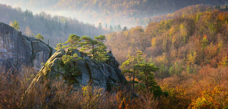 among autumn forest look big rocks overgrown with treesの写真素材