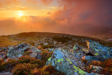 stones in the mountains of dust and moss round fog illuminated red sun promennyamy