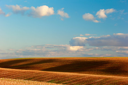 field, hills, the sky beautiful fluffy clouds