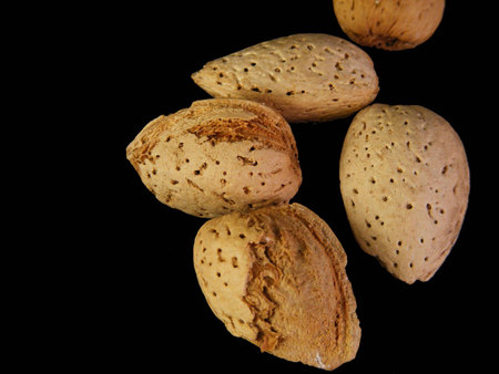 Unshelled almonds against a black background.