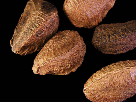 Unshelled brazil nuts against a black background.