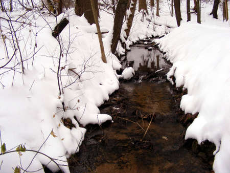 A small creek with snow-covered banks.の写真素材