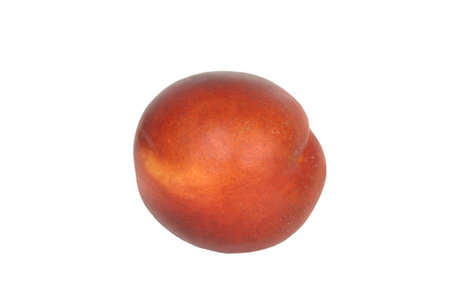 A single nectarine isolated against a white background.の写真素材