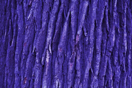dark blue bark abstract backgroundの写真素材
