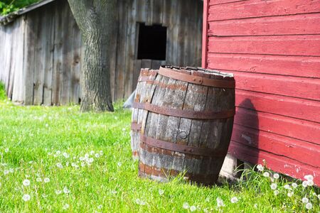 old wooden barrel in countryside with dandelionsの写真素材