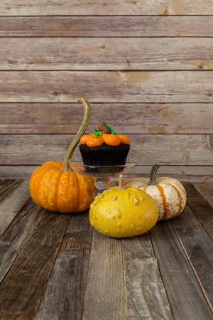 Pumpkin muffin with ornamental fall gourdsの写真素材
