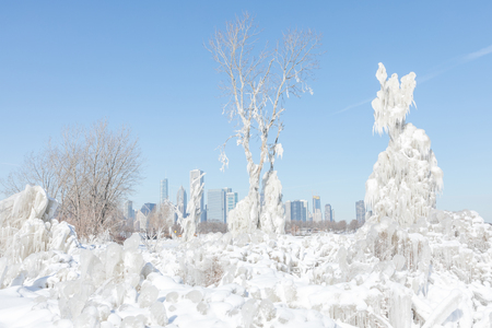 Frozen trees covered in ice by the lake Michigan in Chicago downtownの写真素材
