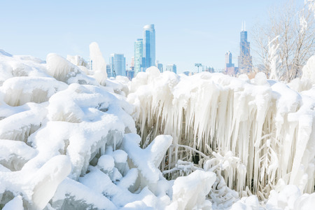 Frozen bushes covered in ice by the lake Michigan in Chicago downtownの写真素材
