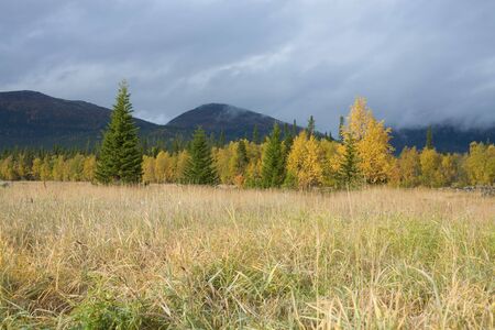 Autumn field surrounded on forest landscapeの写真素材