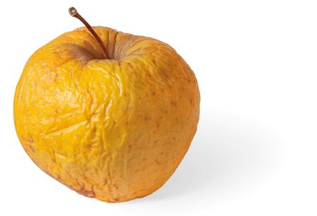 Rotten dry disgusting apple on a white backgroundの写真素材