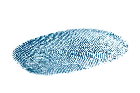 Blue fingerprint isolated on a white backgroundの写真素材