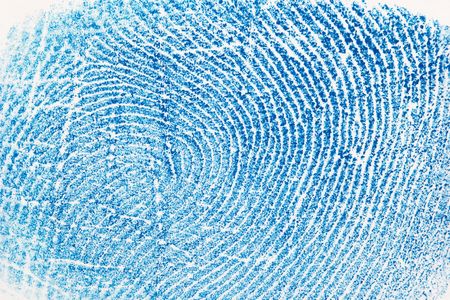 Blue fingerprint on a white paper backgroundの写真素材