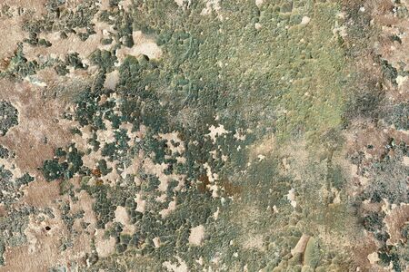 Seamless background of the wall with peeling green paintの写真素材
