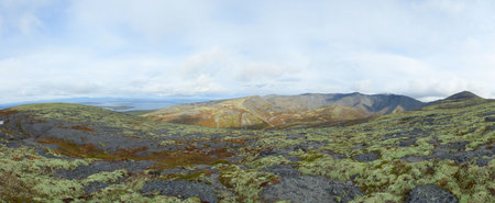 Panorama - view from the northern mountains - summer