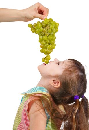 Funny little girl eating grapes from the mother's handsの写真素材