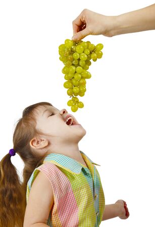 The cheerful child eats grapes from parental hands on whiteの写真素材