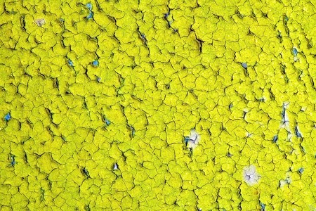Craquelure on the surface of oil paint - natural backgroundの写真素材
