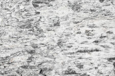 Grey surface of a natural raw stone - a backgroundの写真素材