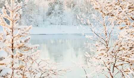 The sunny winter landscape - river viewの写真素材