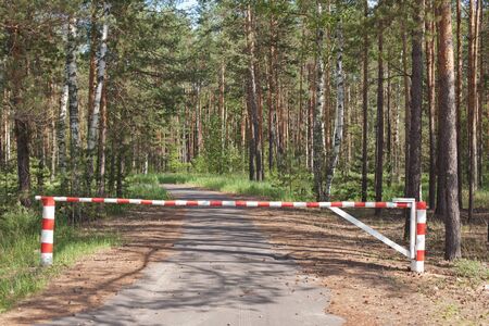 The wooden barrier a blocking way to woodの写真素材