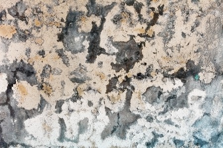 Mold stains on a surface of weather-beaten humid plasterの写真素材