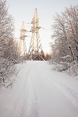 High-voltage support in winter wood. Frosty morningの写真素材