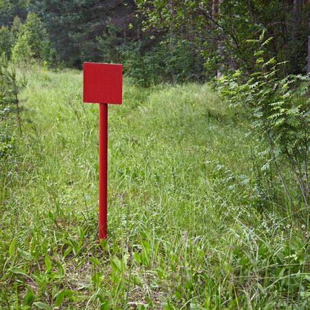 Red metal plate near the pine forestの写真素材