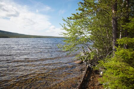 Beach of the northern lake - summer dayの写真素材