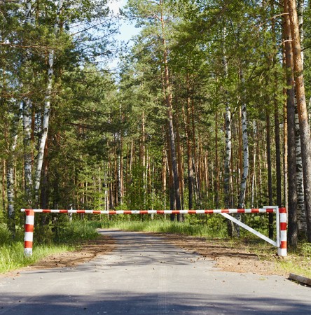 Wooden barrier blocking the road in the woodsの写真素材