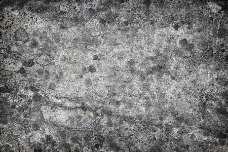 Surface of a granite gray rock with lichen stains - a stone backgroundの写真素材