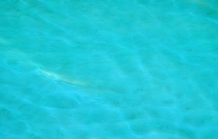 Background - in shallow water with sandy bottomの写真素材