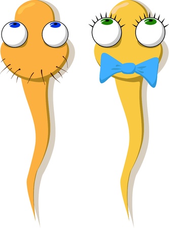 Two funny drawn sperm - a girl and a boy. Vector.のイラスト素材