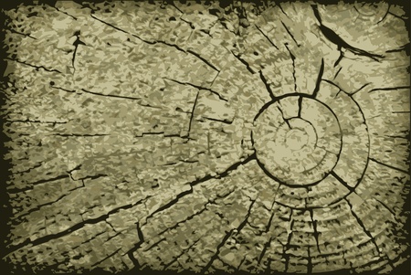 Realistic vector surface end of the old log - a backdropのイラスト素材
