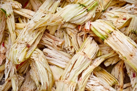 Sugarcane bagasse - the waste of sugar manufactureの写真素材