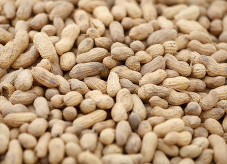 Big pile of unpeeled peanut on the market