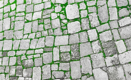 Grey stone floor with grass in gapsの写真素材