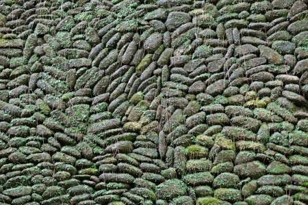 Old stone wall covered with moss and plants - backgroundの写真素材