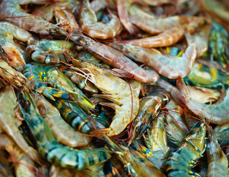 Shrimps laid out on the market counter