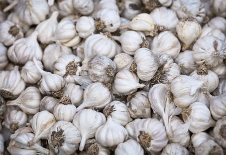 Garlic on the counter of eastern market close upの写真素材