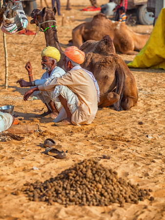 PUSHKAR, RAJASTHAN, INDIA - CIRCA NOV 2012: Traditional Fair in Pushkar. Camels for sale lay on the sandのeditorial素材