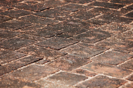 The surface of the stone floor in the ancient ruins. Sri Lanka, Polonnaruva