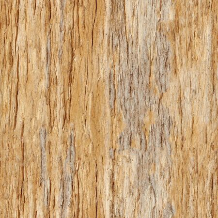Seamless texture - rotting wood square patternの写真素材