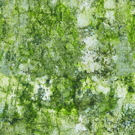 Old wall in the green mold. Seamless patternの写真素材