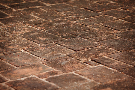 The surface of the stone floor in the ancient ruins. Sri Lanka, Polonnaruvaの写真素材