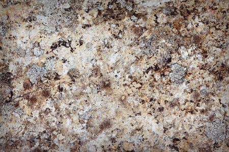 The surface rock with lichen. The northern mountainsの写真素材
