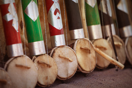 Primitive ceap dotara - stringed musical instruments for sale at open market. India, Rajasthan