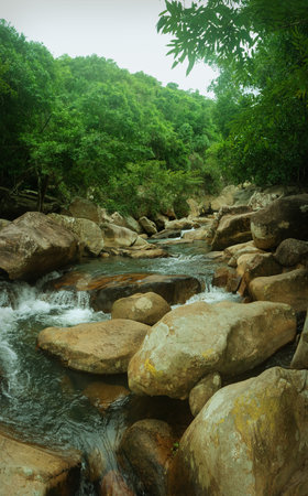 The landscape scene with rainforest, river and waterfalls