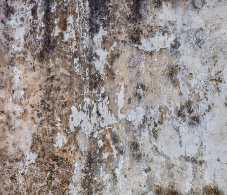 Gloomy grey wall with mold - background. Grunge wallの写真素材