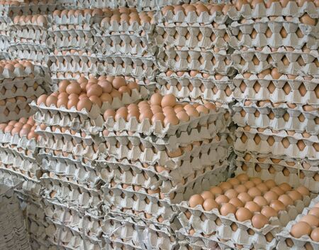 Closeup of eggs on cartons at supermarket. Eggs from chicken farm in the packageの写真素材